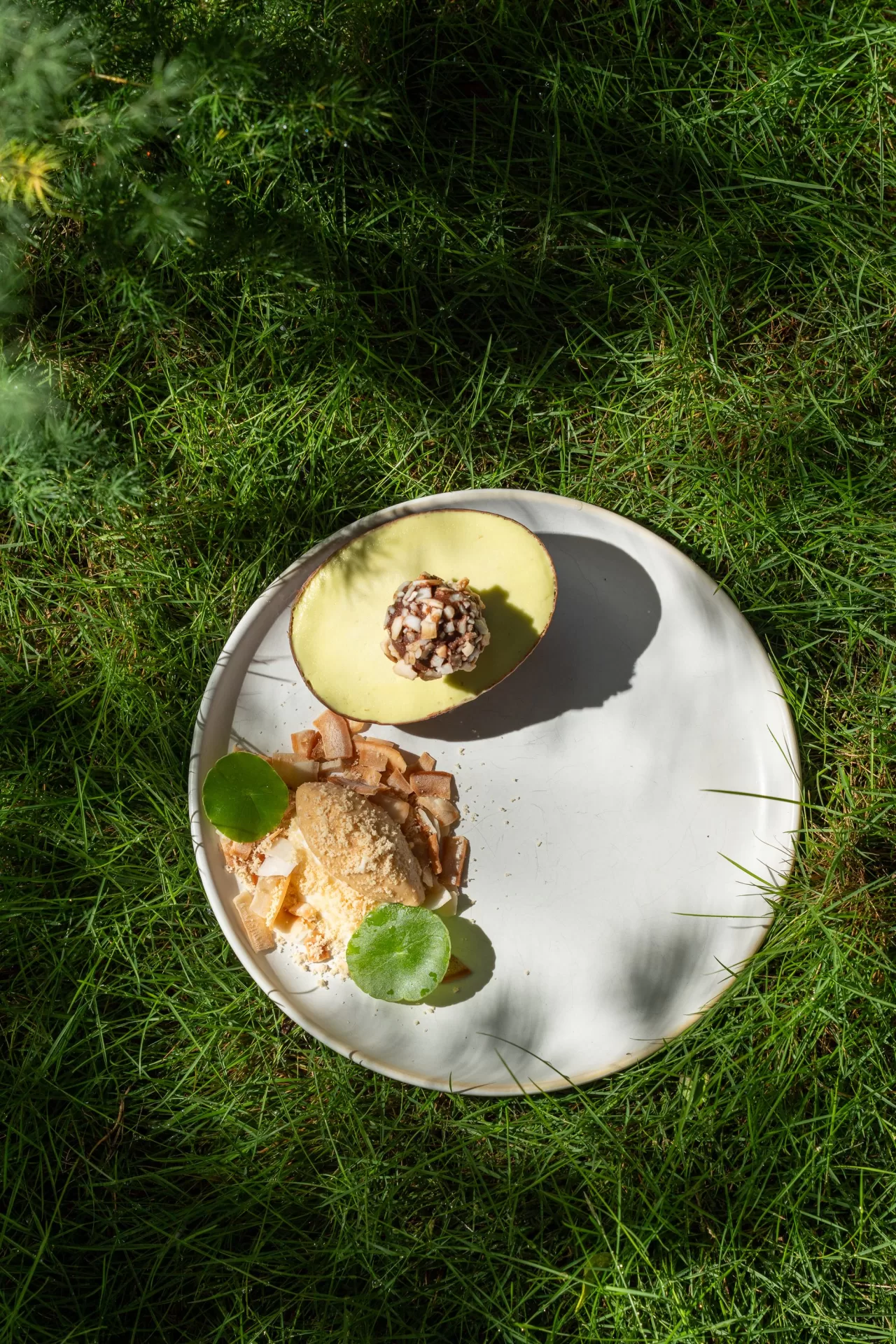 Miyama Avocado Gelato
